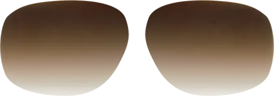 Non-Prescription Polarized Brown Gradient Lenses