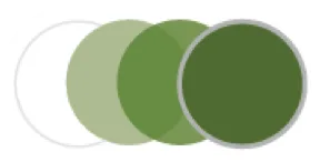 Transition Green Lenses